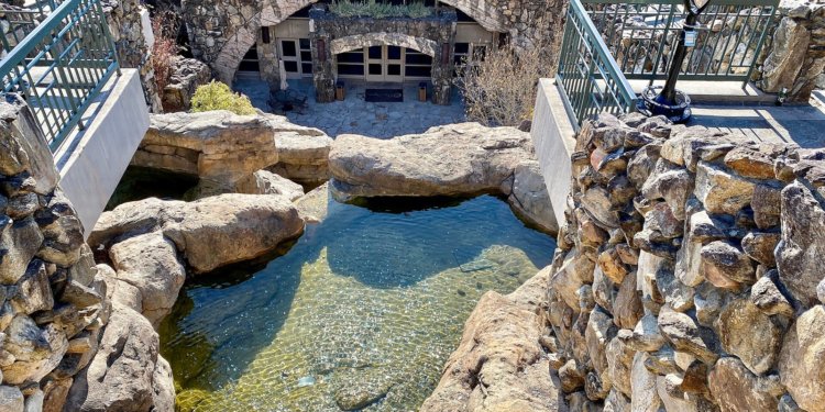 The 10 Best Spas and Wellness Retreats in 2026